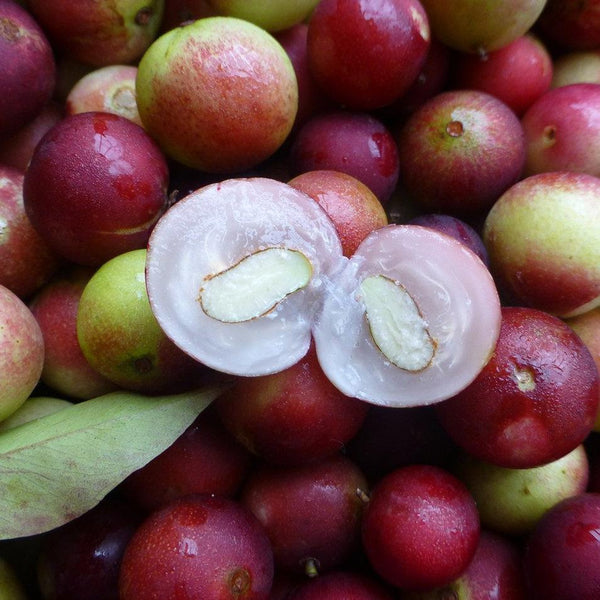 Camu Camu