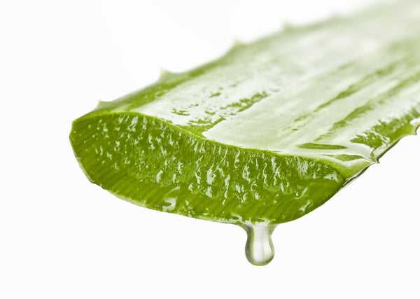 Aloe Vera Juice