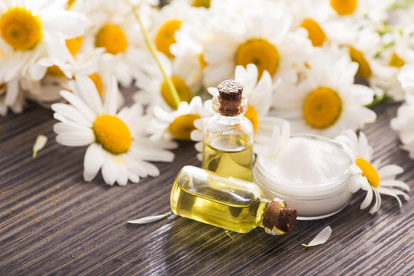 Chamomile