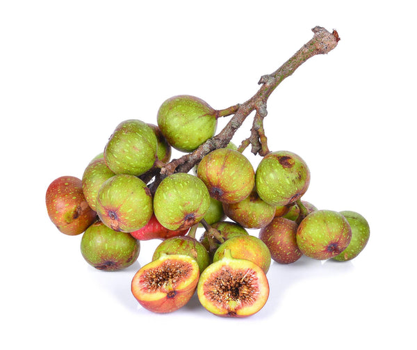 Java Fig Fruit