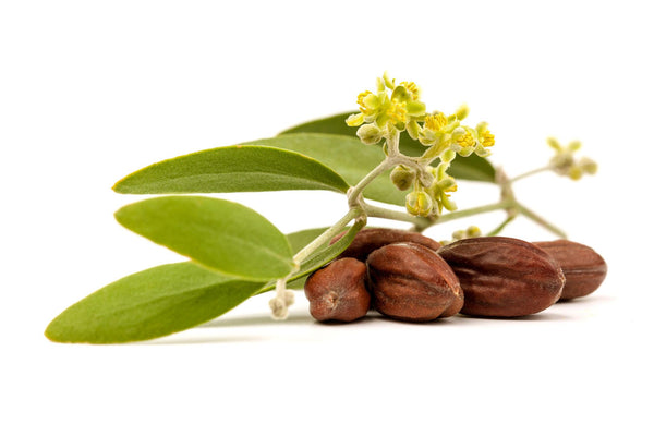Jojoba Oil