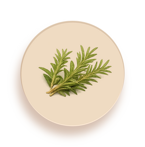 Rosemary
