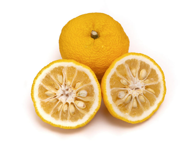 Yuzu Essential Oil